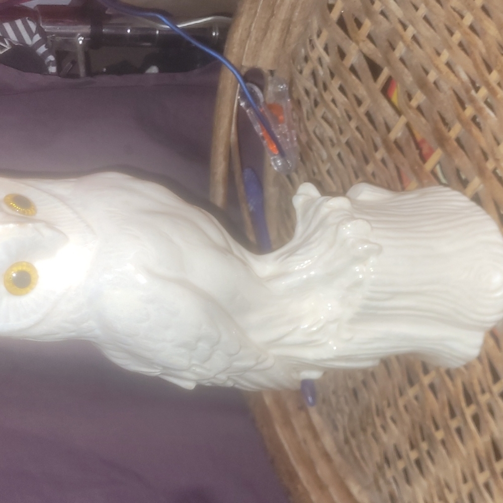 Night owl